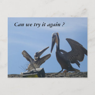 Forgive Me/ Go out with me_ Postcard