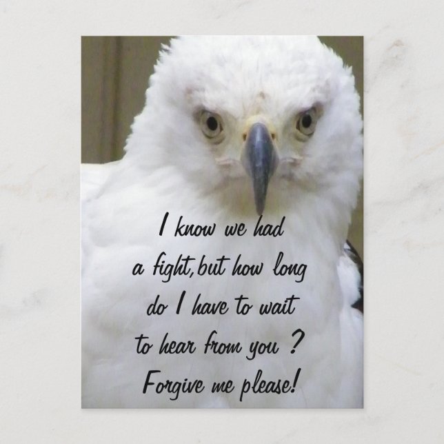 Forgive Me_ Postcard (Front)