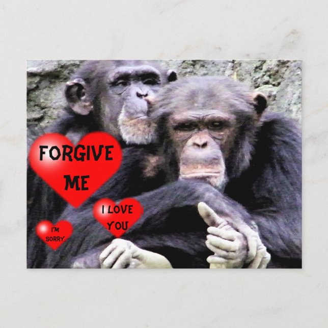 Forgive me,Sorry_ Postcard (Front)