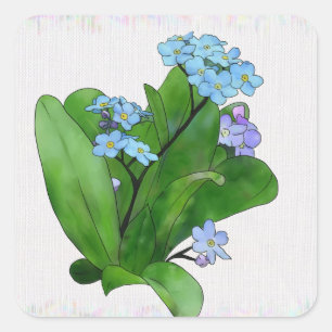 forgiveness square sticker