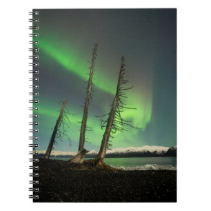 Forgotten Spruce Aurora Notebook
