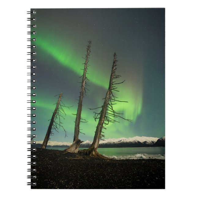 Forgotten Spruce Aurora Notebook (Front)