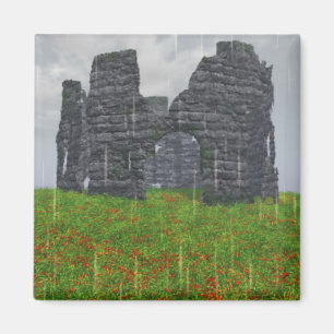 Forgotten Strife Magnet