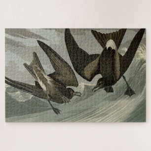 Fork-tail Petrel from Audubon's Birds of America Jigsaw Puzzle