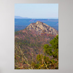 Forked Mountain, Arkansas Poster