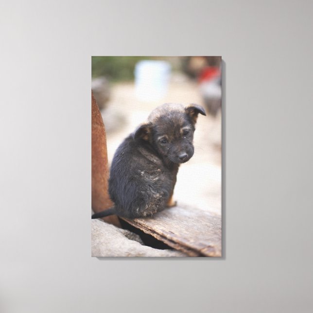 Forlorn puppy canvas print (Front)