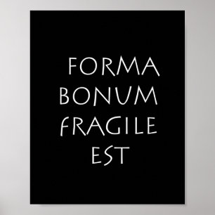 Forma bonum fragile est poster