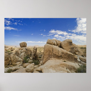 Formations Joshua Tree Poster