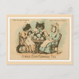 Formosa Tea Cats Postcard