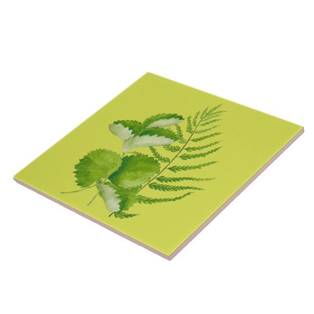 Forms in Green on a Ceramic Tile (Side)