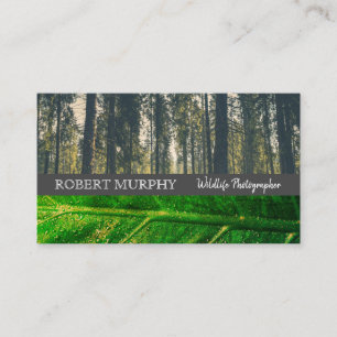 Forrest   Leaf   Wild Life Photographer Business Card