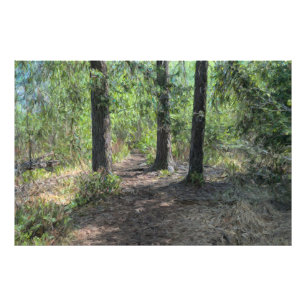 Forrest path photo print