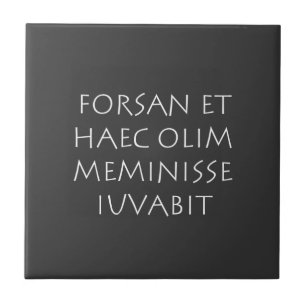 Forsan et haec olim meminisse iuvabit tile