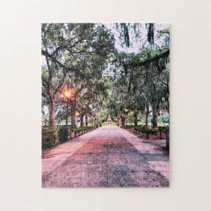 Forsyth Park Evening Puzzle