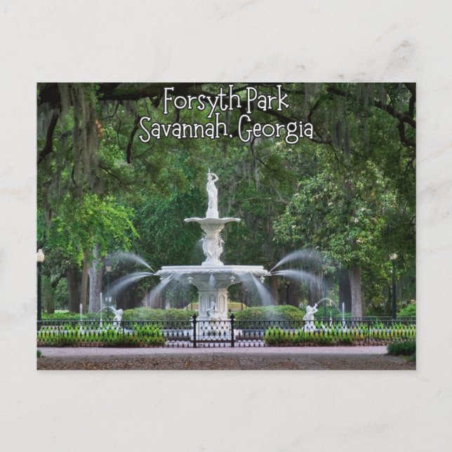Forsyth Park Fountain, Savannah Georgia Postcard (Front)