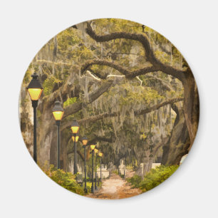 Forsyth Park - Photo, Savannah, Georgia (GA) USA Magnet