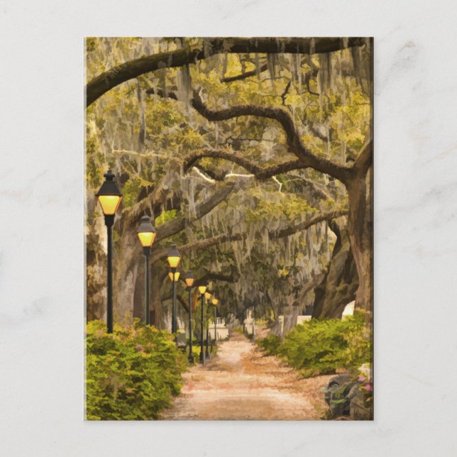 Forsyth Park - Photo, Savannah, Georgia (GA) USA Postcard (Front)