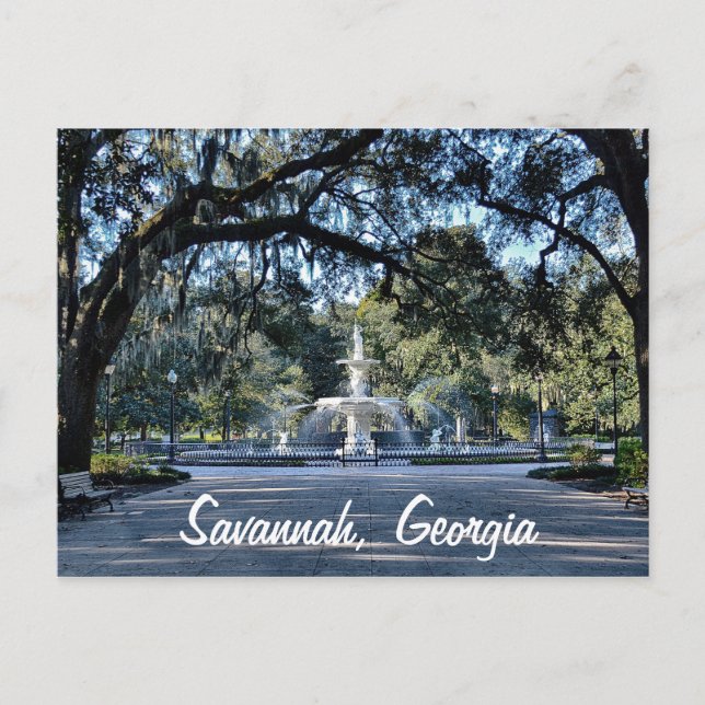 Forsyth Park Savannah Georgia Postcard (Front)