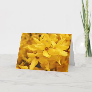 Forsythia Flower Greeting Card