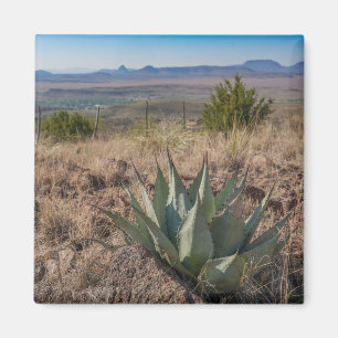 Fort Davis Mountains Agave Magnet