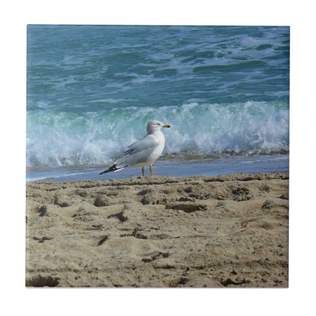 Fort Lauderdale, Florida Tile (Front)