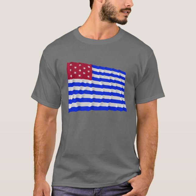 Fort Mercer Waving Flag T-Shirt (Front)