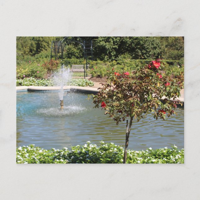 Fort Worth Garden Fountain Postcard (Front)