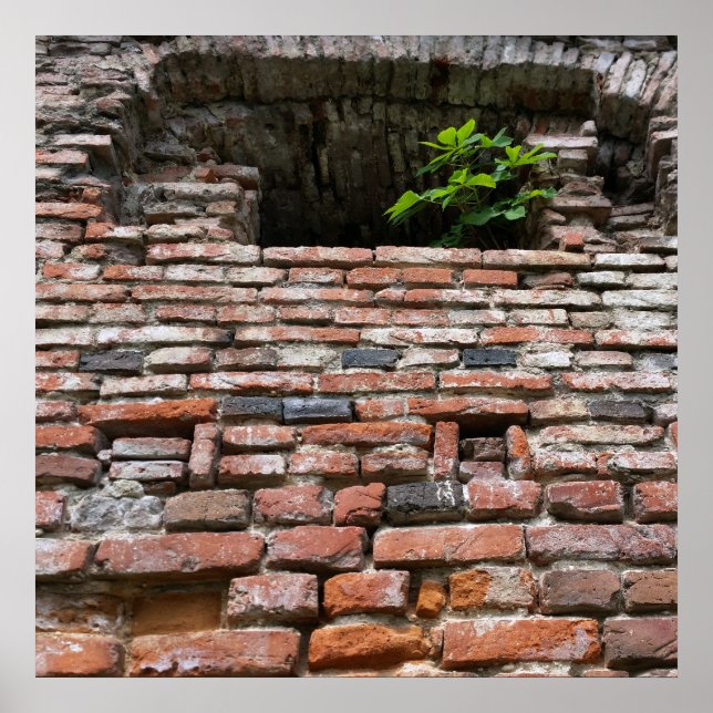 fortress wall window poster (Front)