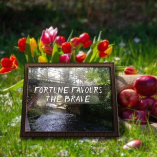 Fortune favours the brave proverb bridge  poster