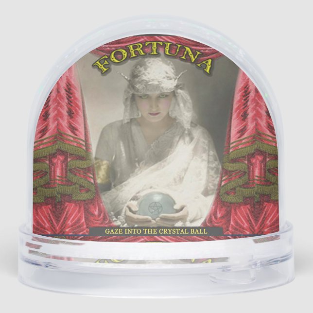 Fortune Teller Crystal Ball  Snowglobe (Back)