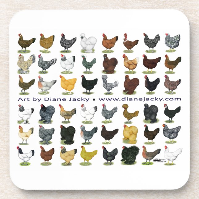 Forty-eight Hen Promo Coaster (Front)