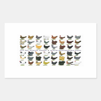 Forty-eight Hen Promo Rectangular Sticker