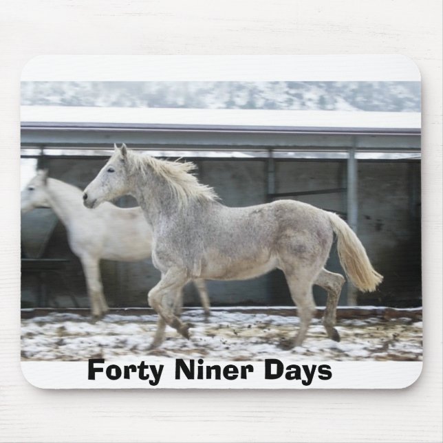 Forty Niner Days Snow Day Mouse Pad (Front)