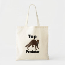 Fossa Madagascar Carnivore Predator