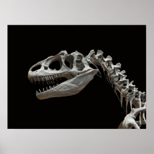 Fossil allosaurus head and neck poster