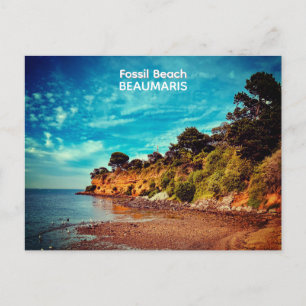 Fossil Beach, Beaumaris Postcard