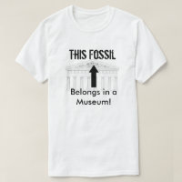 Fossil belongs in Museum