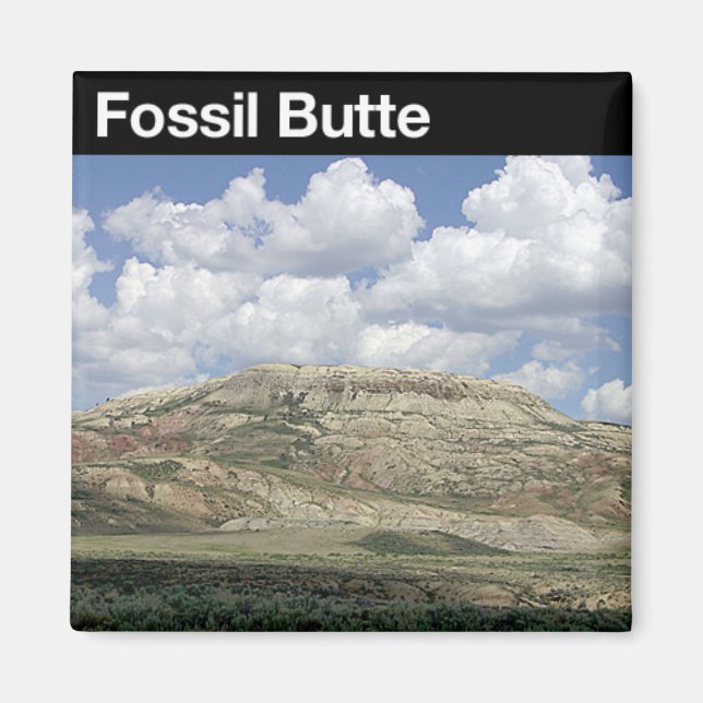 Fossil Butte National Monument Magnet (Front)