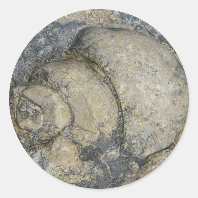 Fossil Classic Round Sticker (Front)