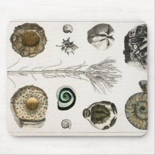 Fossil, Dinosaur, Fossils, Paleontology, Geology Mouse Pad