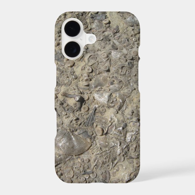 Fossil Hash- Rock Texture Print (Back)