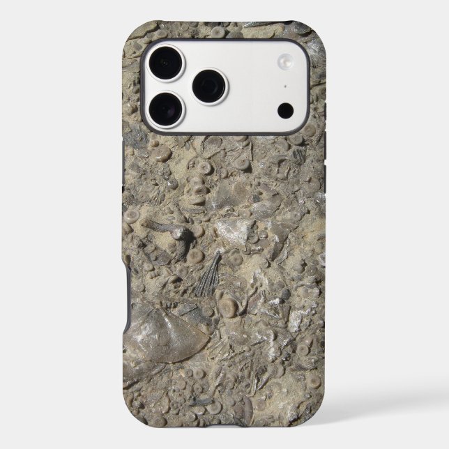 Fossil Hash- Rock Texture Print (Back)