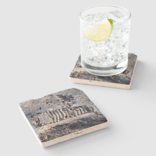 Fossil Nautiloid Cephalopod Ancient Sea Mollusc Stone Coaster