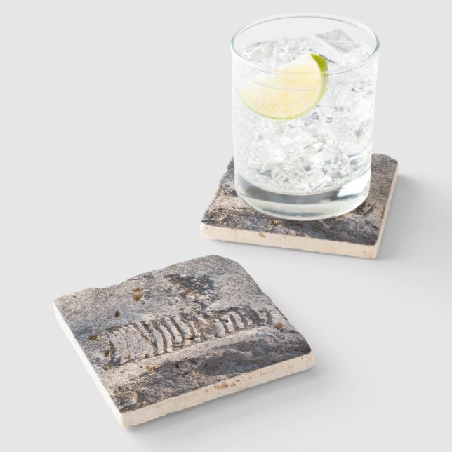 Fossil Nautiloid Cephalopod Ancient Sea Mollusc Stone Coaster (Side)