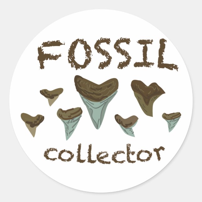 Fossil Shark Teeth Classic Round Sticker (Front)