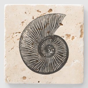 Fossil Stone Coaster