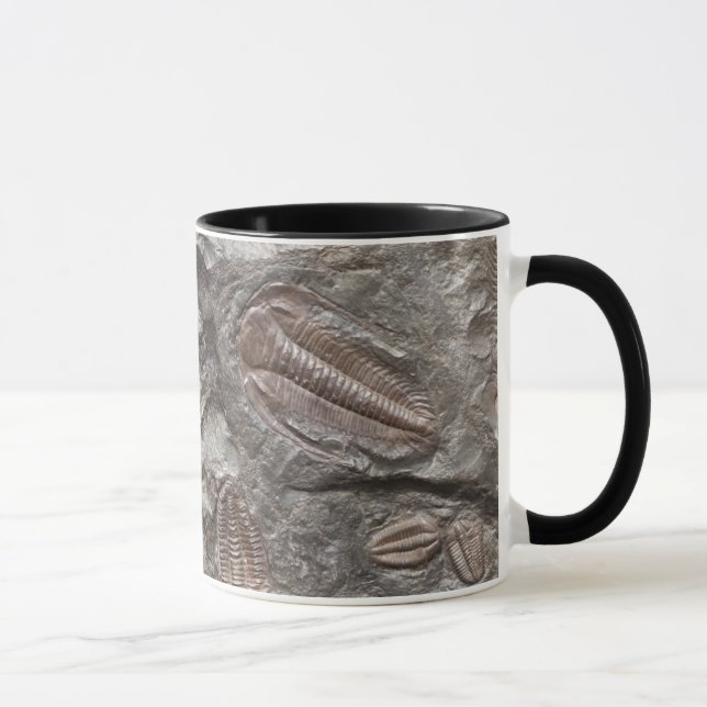 Fossil Trilobites: TRILOBITE FOSSILS Mug (Right)