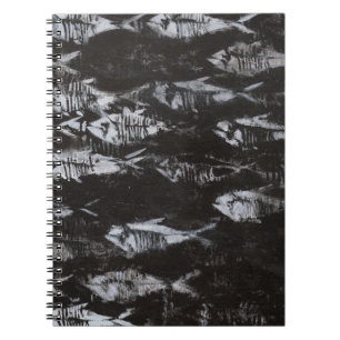 Fossil White Fish on Black Background Spiral Notebook