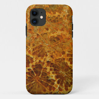 Fossilised coral natural jasper gemstone Case-Mate iPhone case