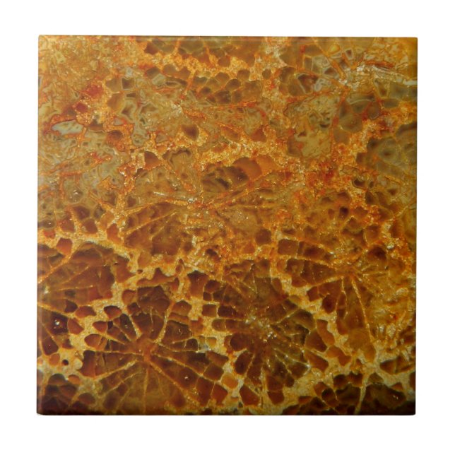 Fossilised coral natural jasper gemstone tile (Front)